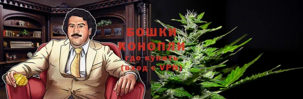 PSILOCYBIN Алексеевка