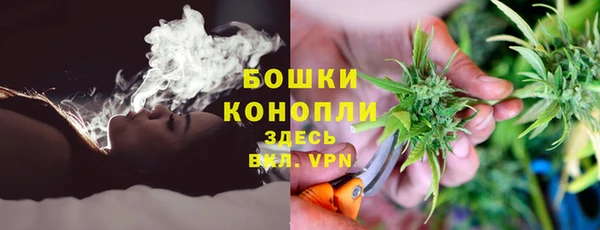 PSILOCYBIN Алексеевка