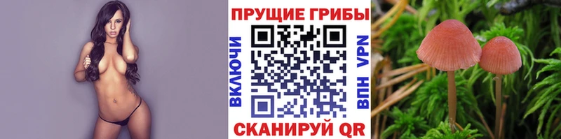Галлюциногенные грибы мухоморы  купить наркотик  Еманжелинск 